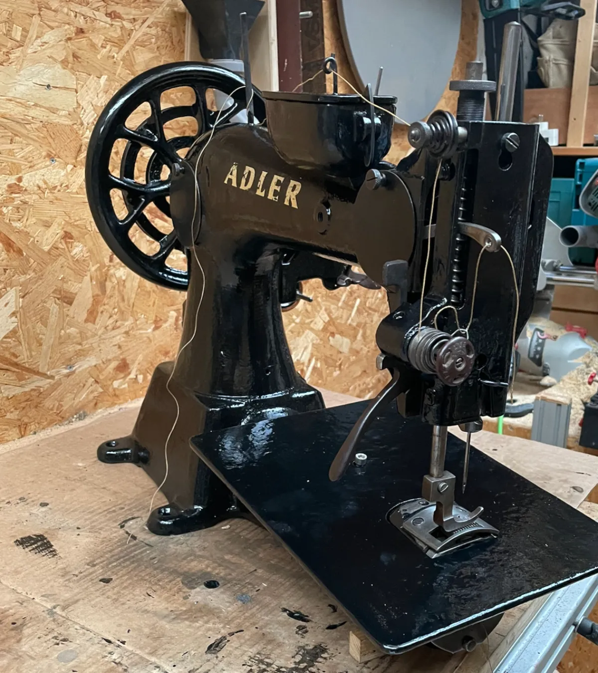 Adler 5-6